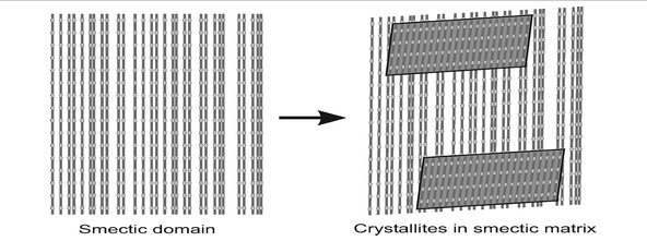 two competing crystallization modes in a smectogenic polyester