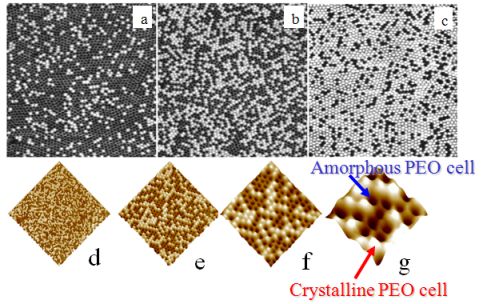 afm phase images