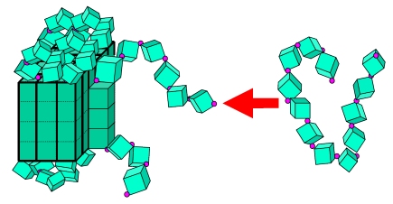 Rubinstein, Colby - Polymer Physics